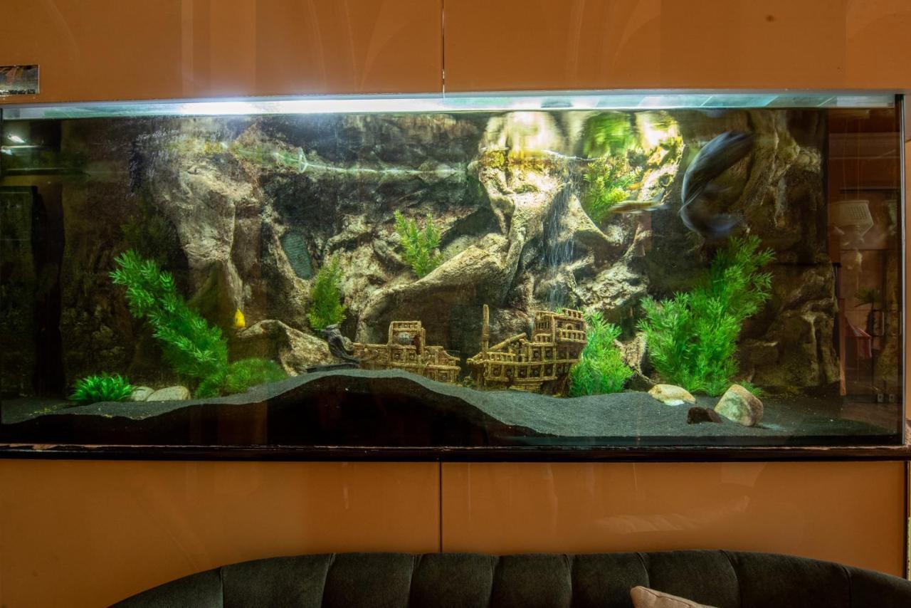 Korona Hotel Nyíregyháza المظهر الخارجي الصورة