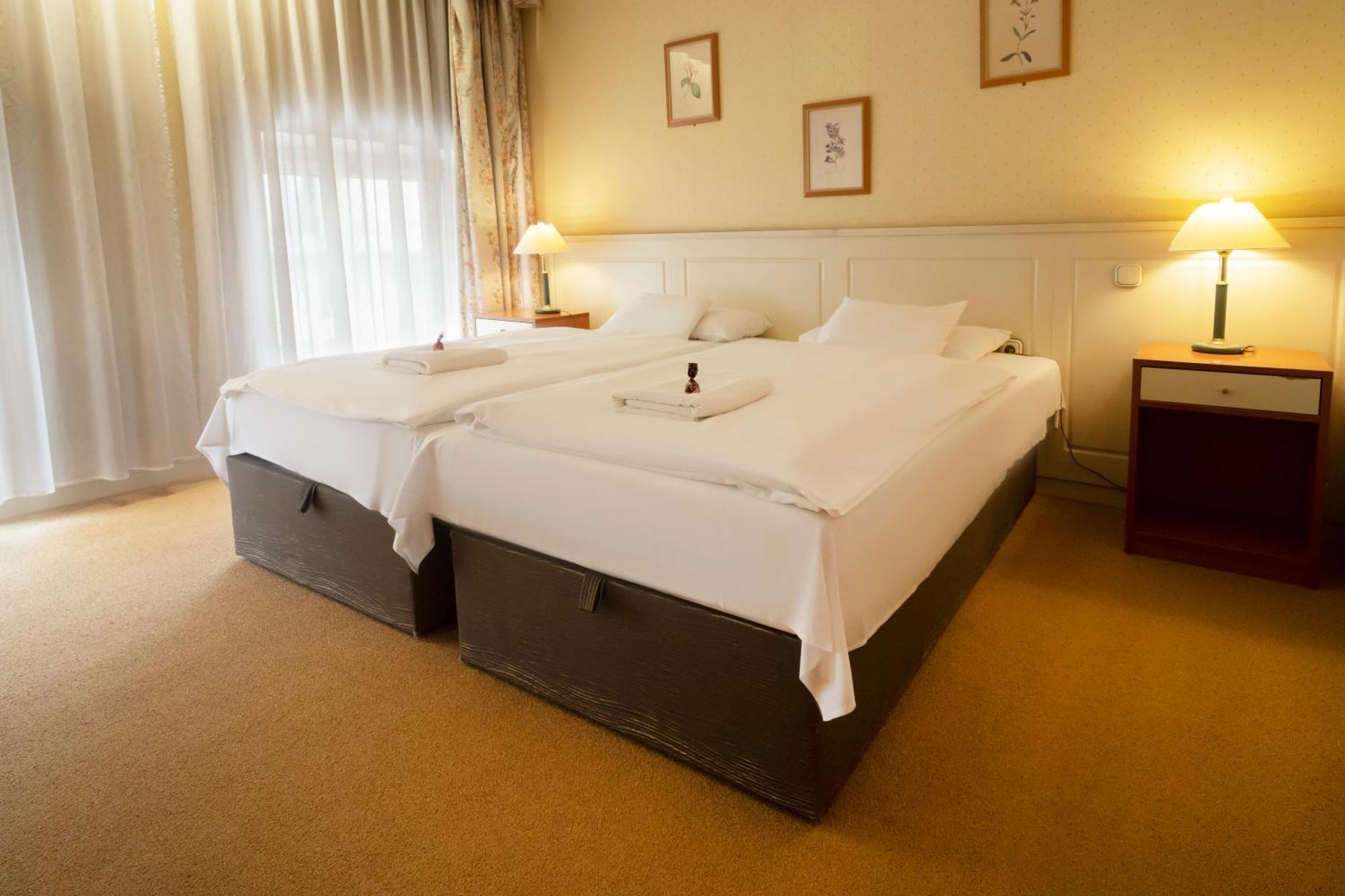 Korona Hotel Nyíregyháza المظهر الخارجي الصورة